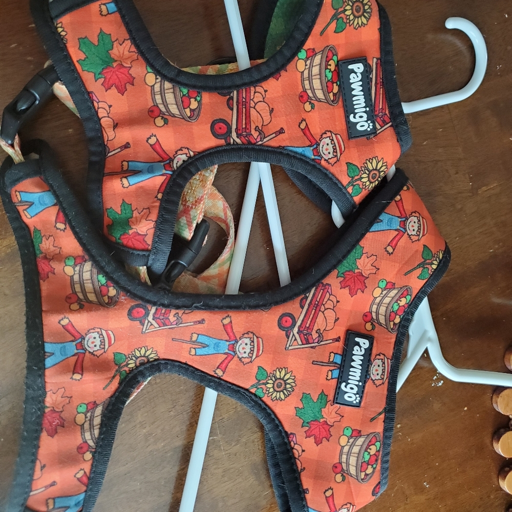 Reversible harness - Picture 3 of 7